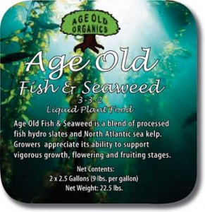 age-old-fish-seaweed-lg-388x400