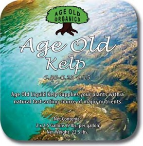 age-old-kelp-lg-393x400