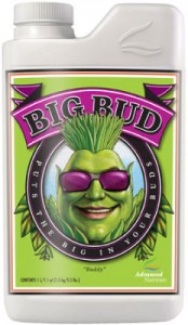 big-bud-lg-232x400