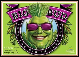 big-bud-powder-lg-400x290