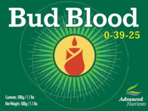 bud-blood-lg-400x300