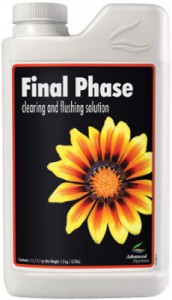 final-phase