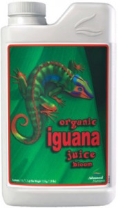 iguana-juice-bloom-lg-229x400