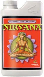 nirvana-lg-231x400