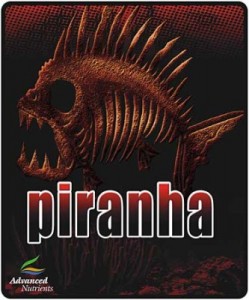 piranha-lg-333x400