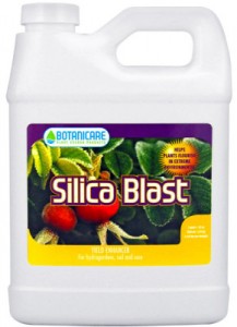 silica-blast-290x400