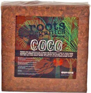 coco-chips-lg-391x400