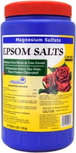 epsom-salts-201x400