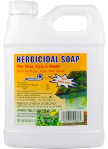 herbicidal-soap-290x400