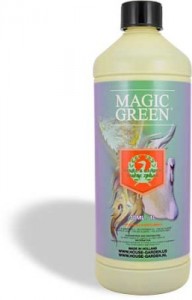 magic-green-lg-257x400