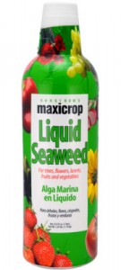 maxicrop-liquid-seaweed-181x400