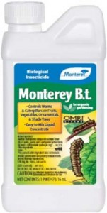 monterey-bt-lg-202x400