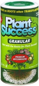 plant-success-lg-181x400