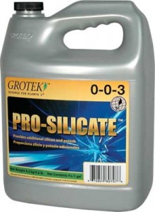 pro-silicate-lg-294x400