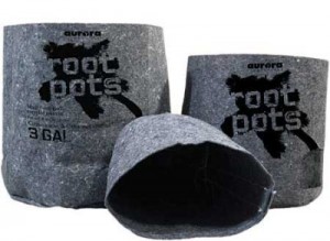 root-pots-lg-400x293