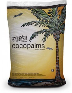 roots-coco-palms-lg-312x400