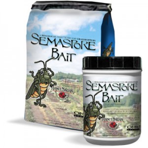 semaspore-bait-400x400