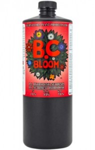 bc-bloom-254x400