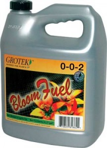 bloom-fuel-lg-288x400