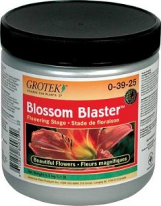 blossom-blaster-lg-312x400