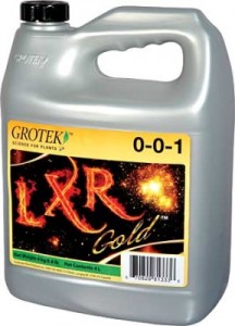 lxr-gold-lg-288x400