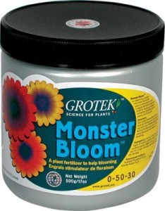 monster-bloom-lg-312x400