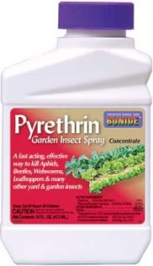 pyrethrin-spray-lg-231x400