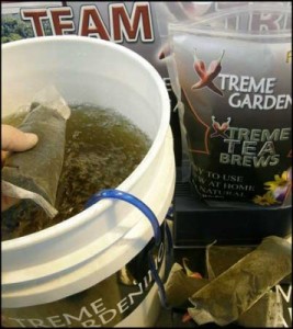 xtreme-tea-brews-lg-356x400