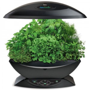 aerogarden-7-400x400