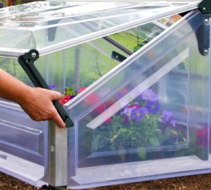 cold-frame-double-400x360