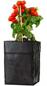 grow-bag-218x400