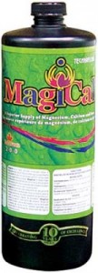 magical-lg-144x400