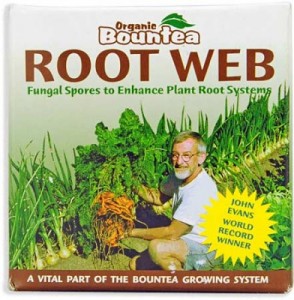root-web-lg-392x400