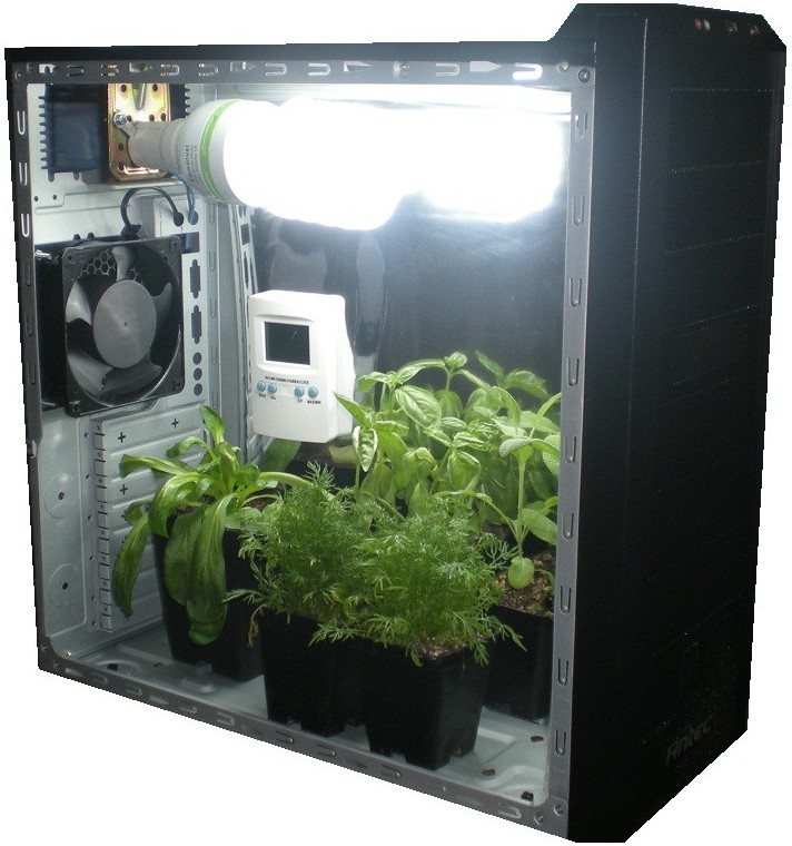 Аппарат для выращивания марихуаны почки и конопля