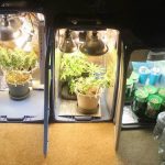GrowBox-оборудование для выращивания марихуаны