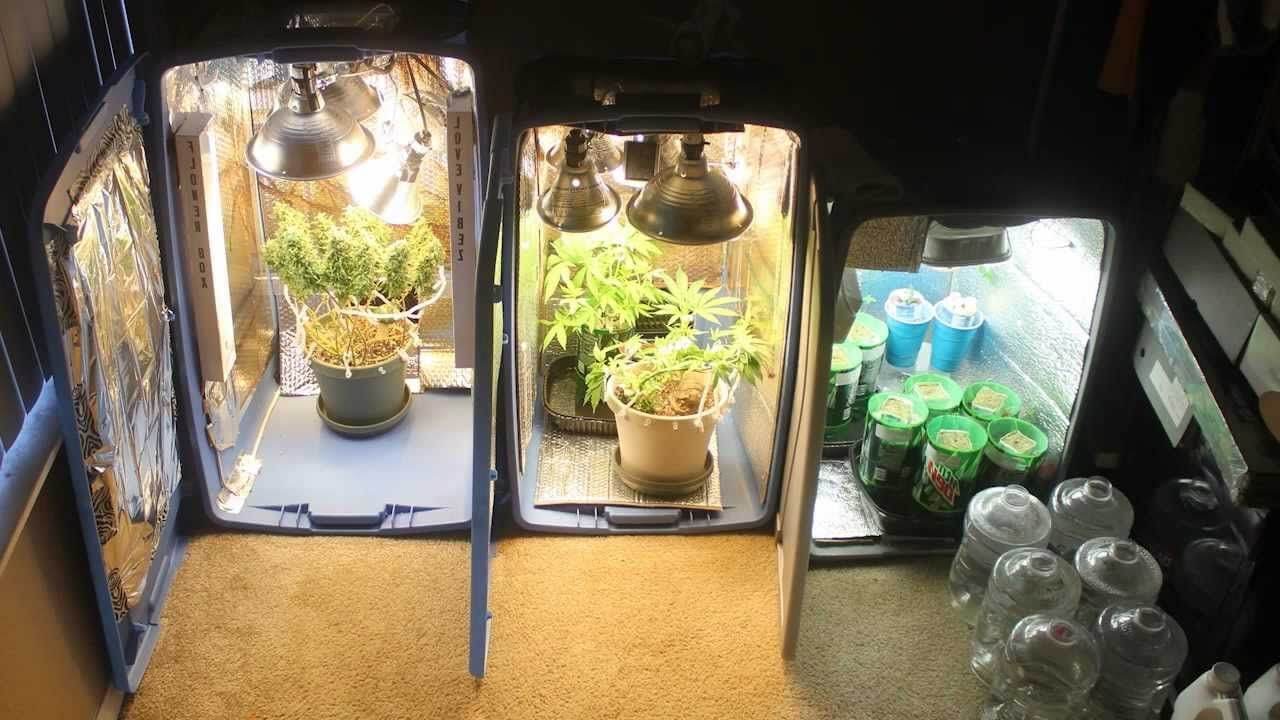 GrowBox-оборудование для выращивания марихуаны 