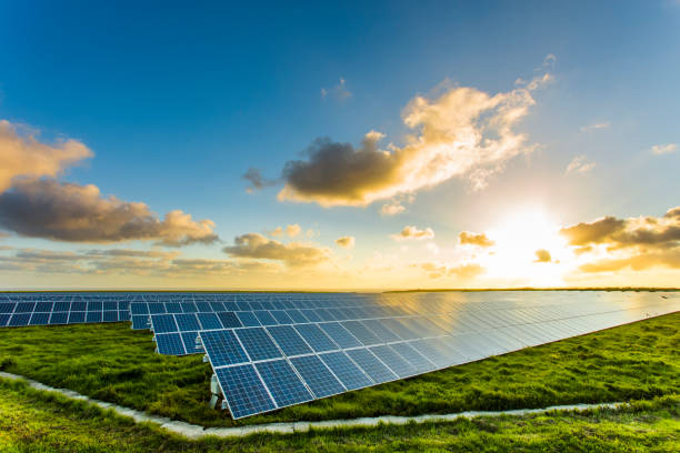 Солнечные технологии для устойчивых конопляных ферм